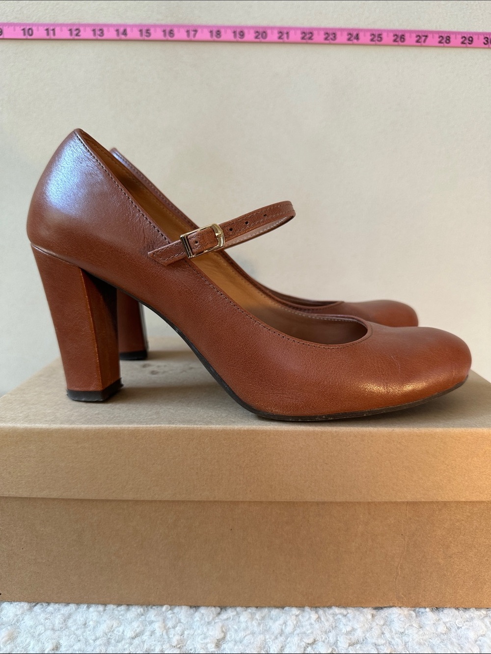 Miummash Women’s Mary Jane Block Heel Pumps in Brown